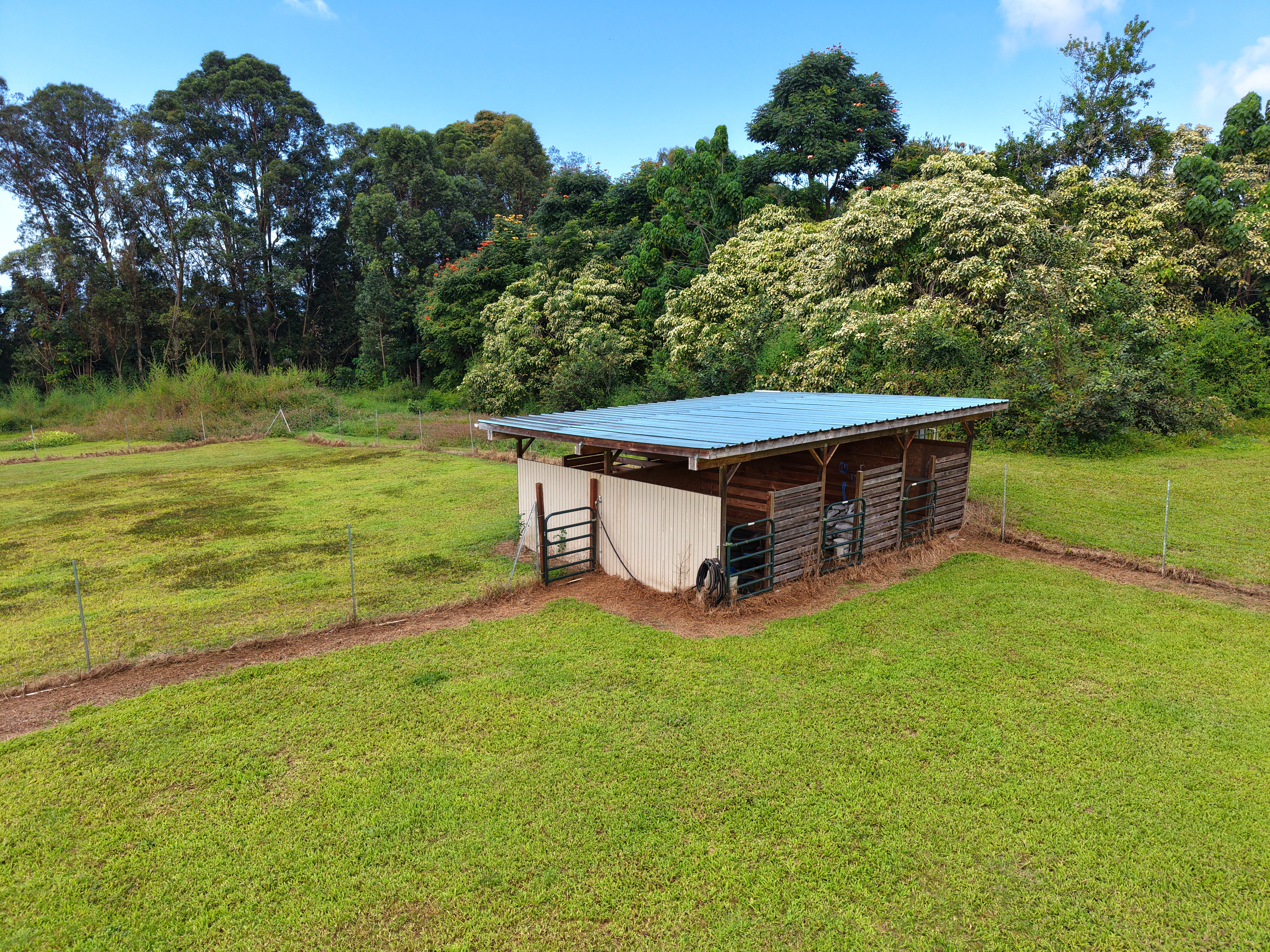 78-1392 Bishop Road Holualoa, HI 96725 - Photo 25 of 30 a backyard of a house with lots of green space