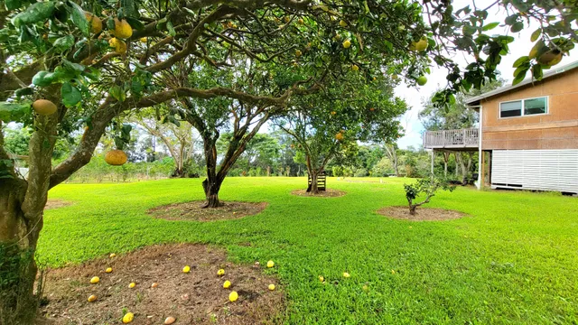 a view of outdoor space and garden