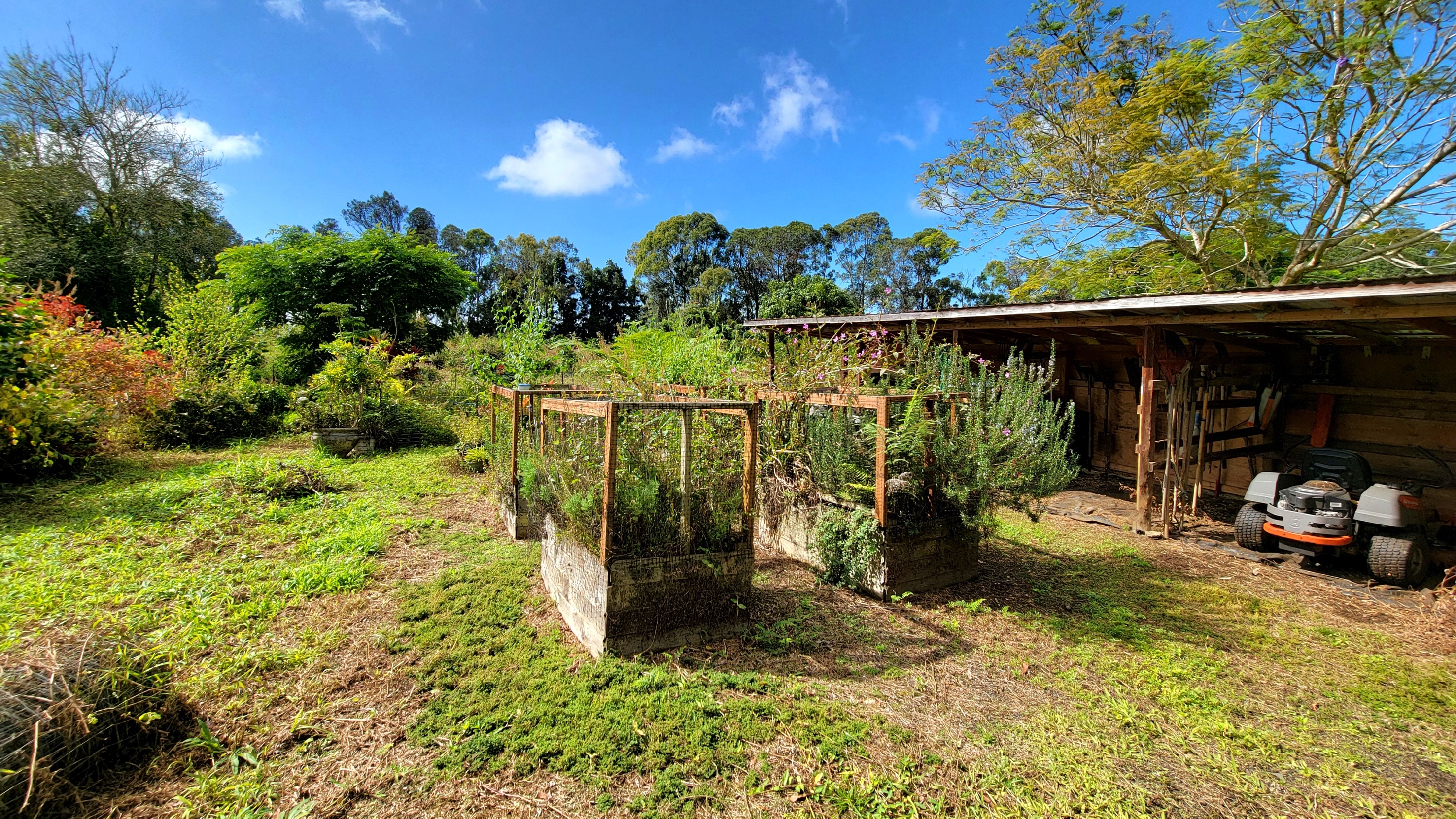 78-1392 Bishop Road Holualoa, HI 96725 - Photo 28 of 30 a view of outdoor space and garden