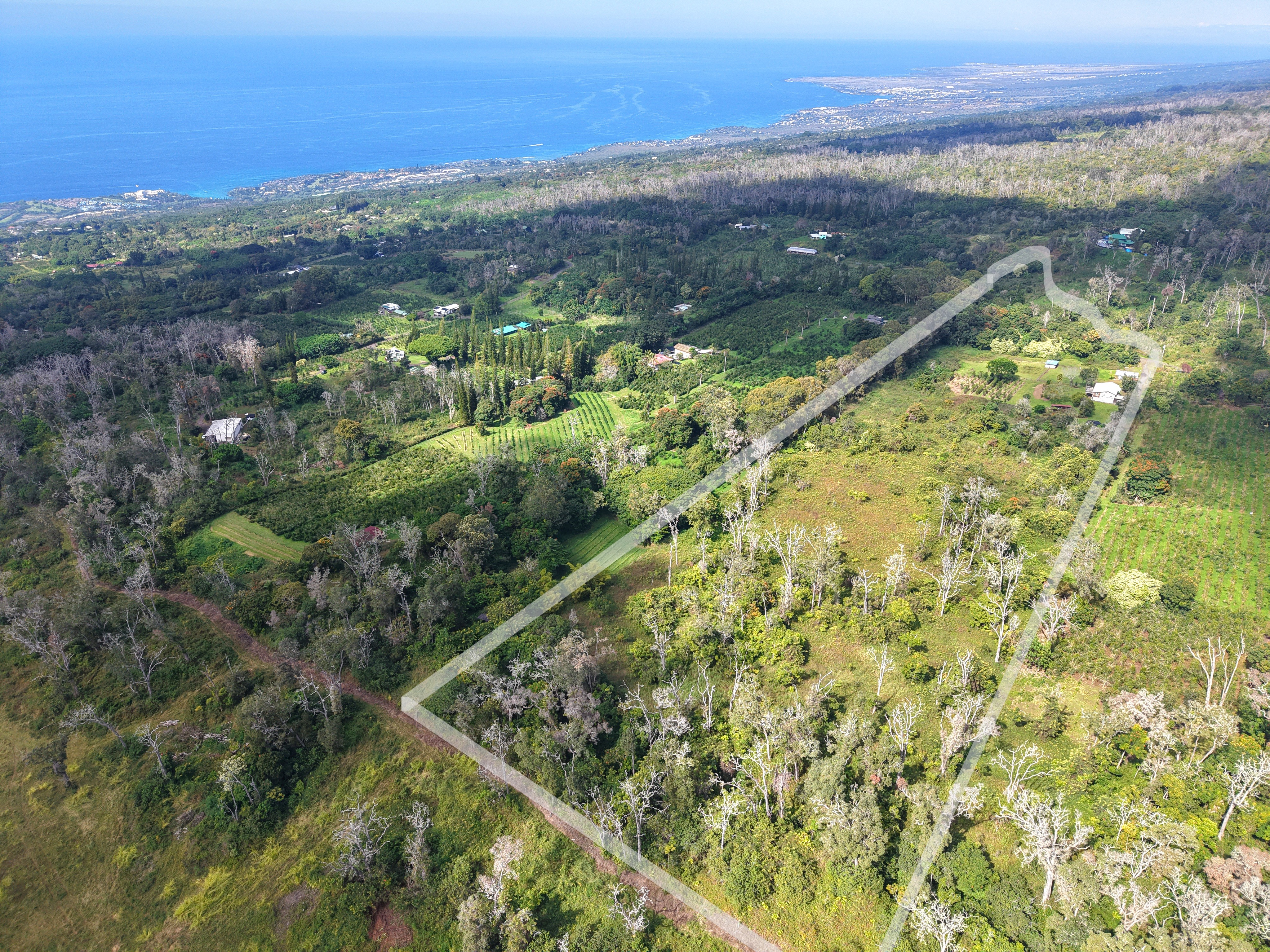 78-1392 Bishop Road Holualoa, HI 96725 - Photo 29 of 30 a view of a forest with a lake