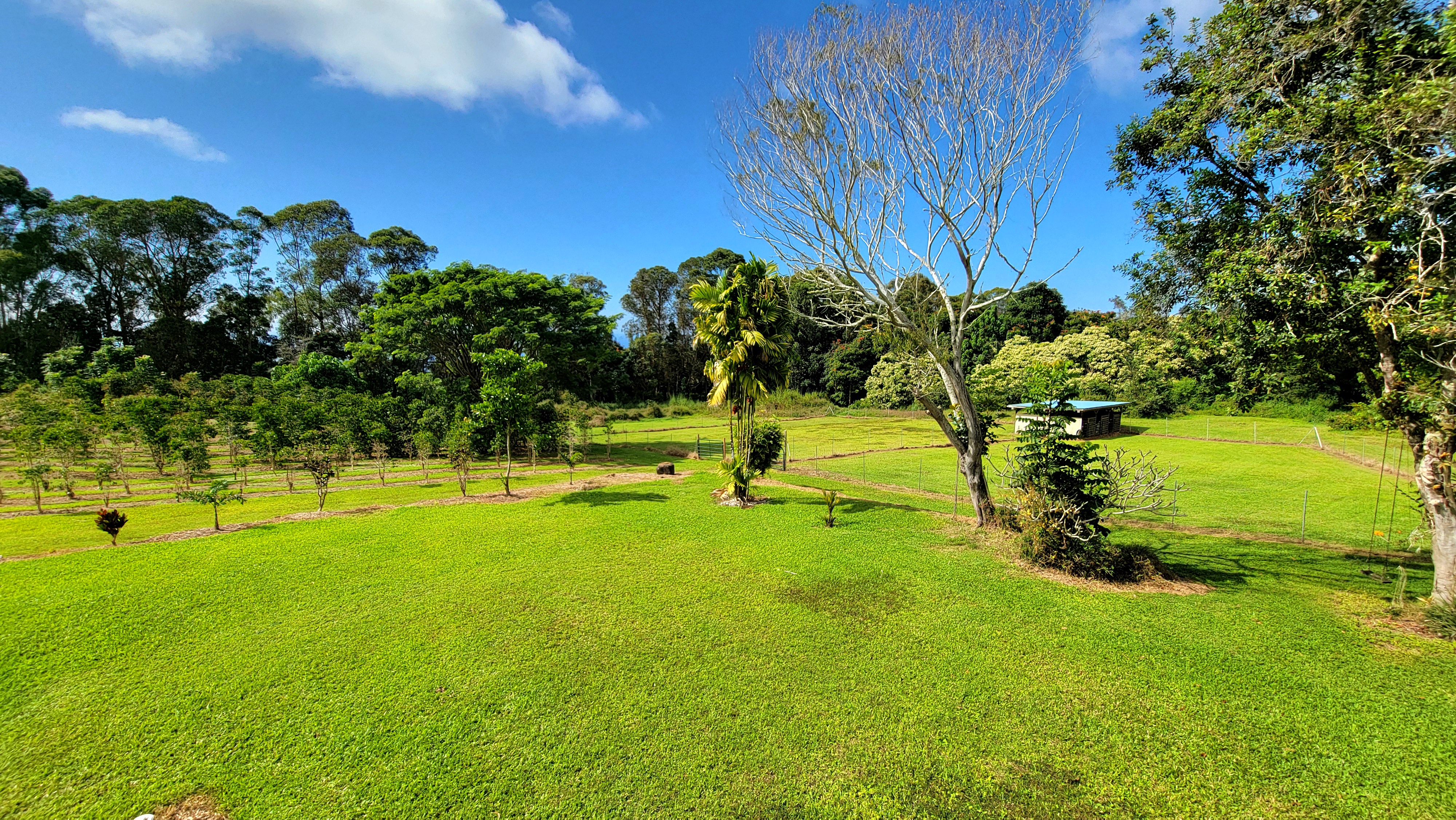 78-1392 Bishop Road Holualoa, HI 96725 - Photo 9 of 30 a view of yard with swimming pool