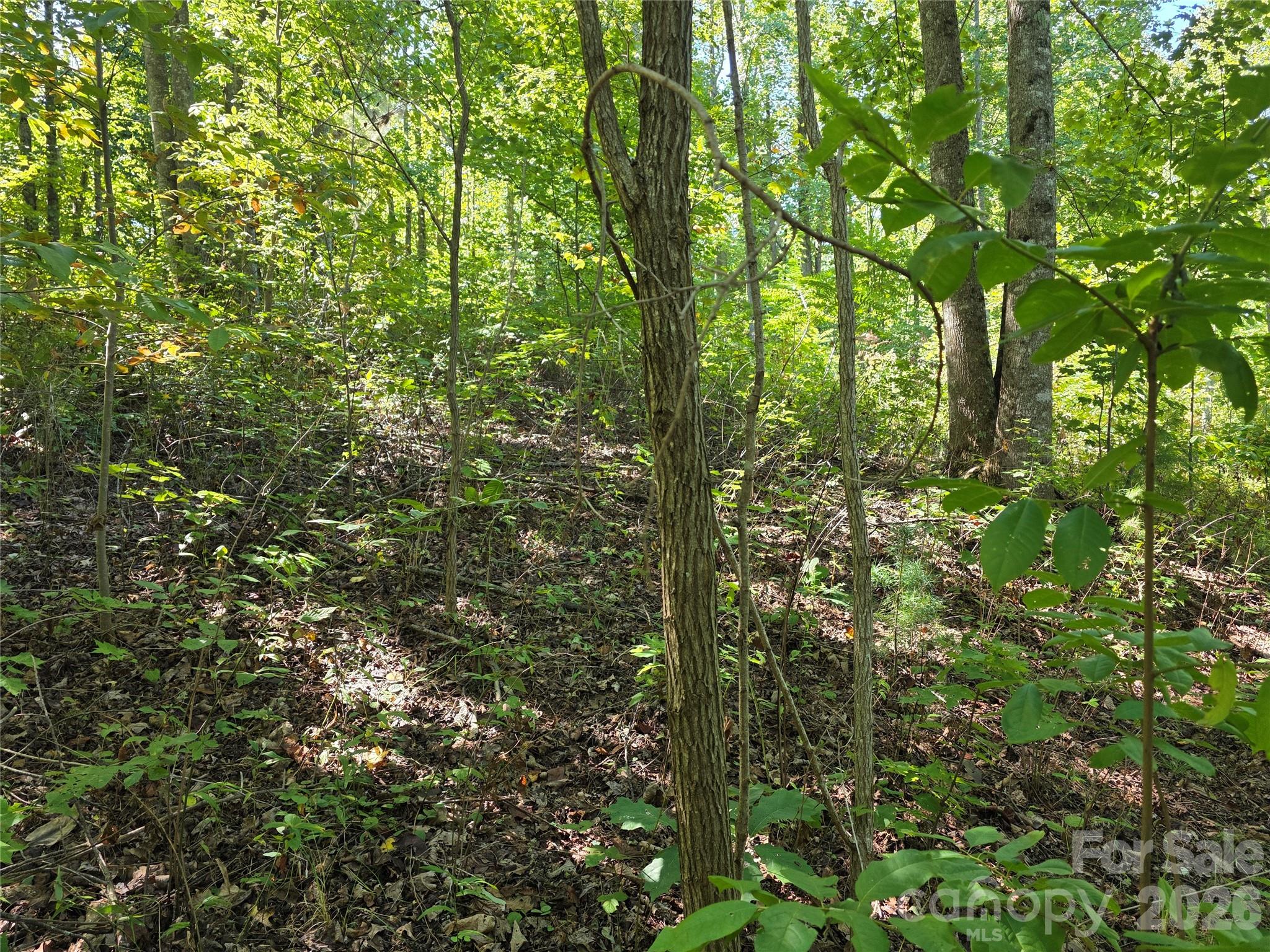 19 Meditation Rdg Dr Extension Nebo, NC 28761 - Photo 15 of 30 Gallery Image 15