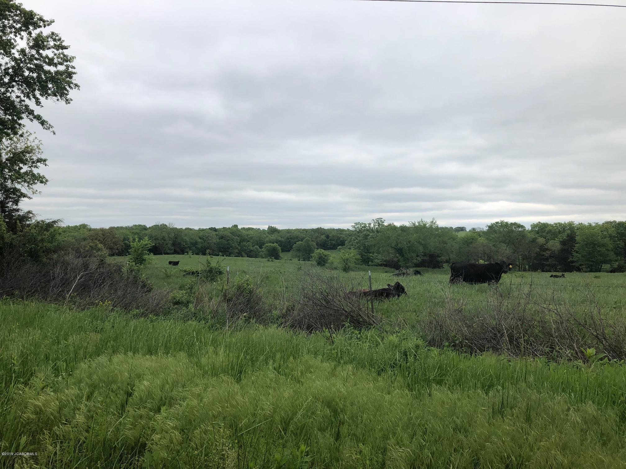 Tbd Union Ford Road California, MO 65018 - Photo 1 of 13