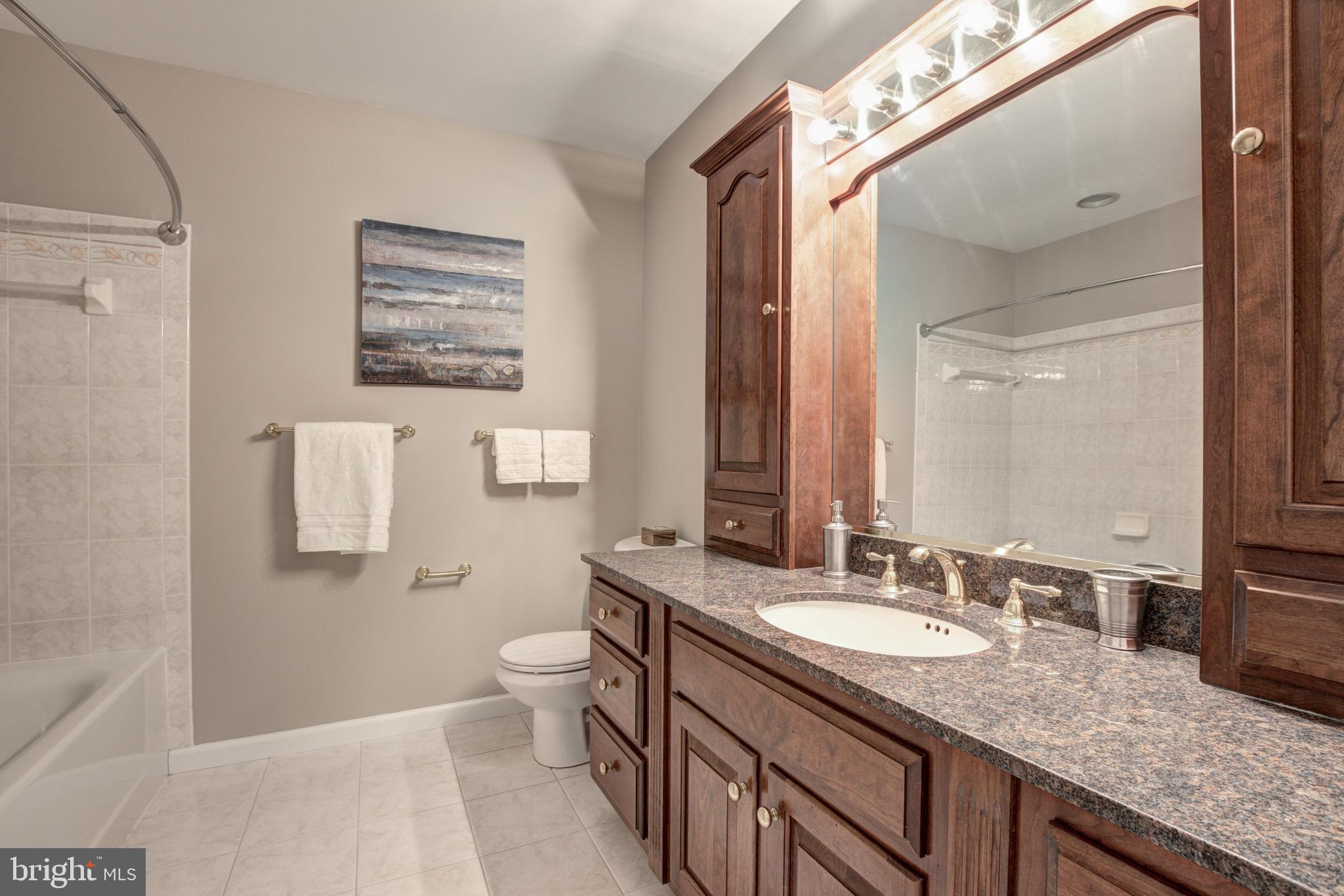 10183 Red Spruce Road Fairfax, VA 22032 - Photo 35 of 44 Gallery Image 35