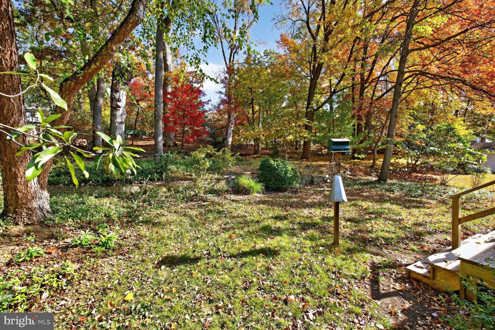 10407 Royal Road Silver Spring, MD 20903 - Photo 30 of 33 a backyard of a house with lots of green space