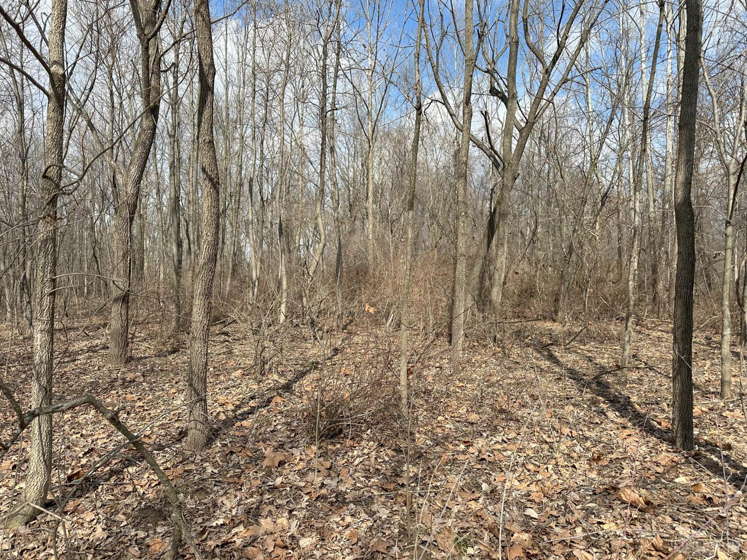 0 Wilson Road Winchester, OH 45697 - Photo 10 of 69