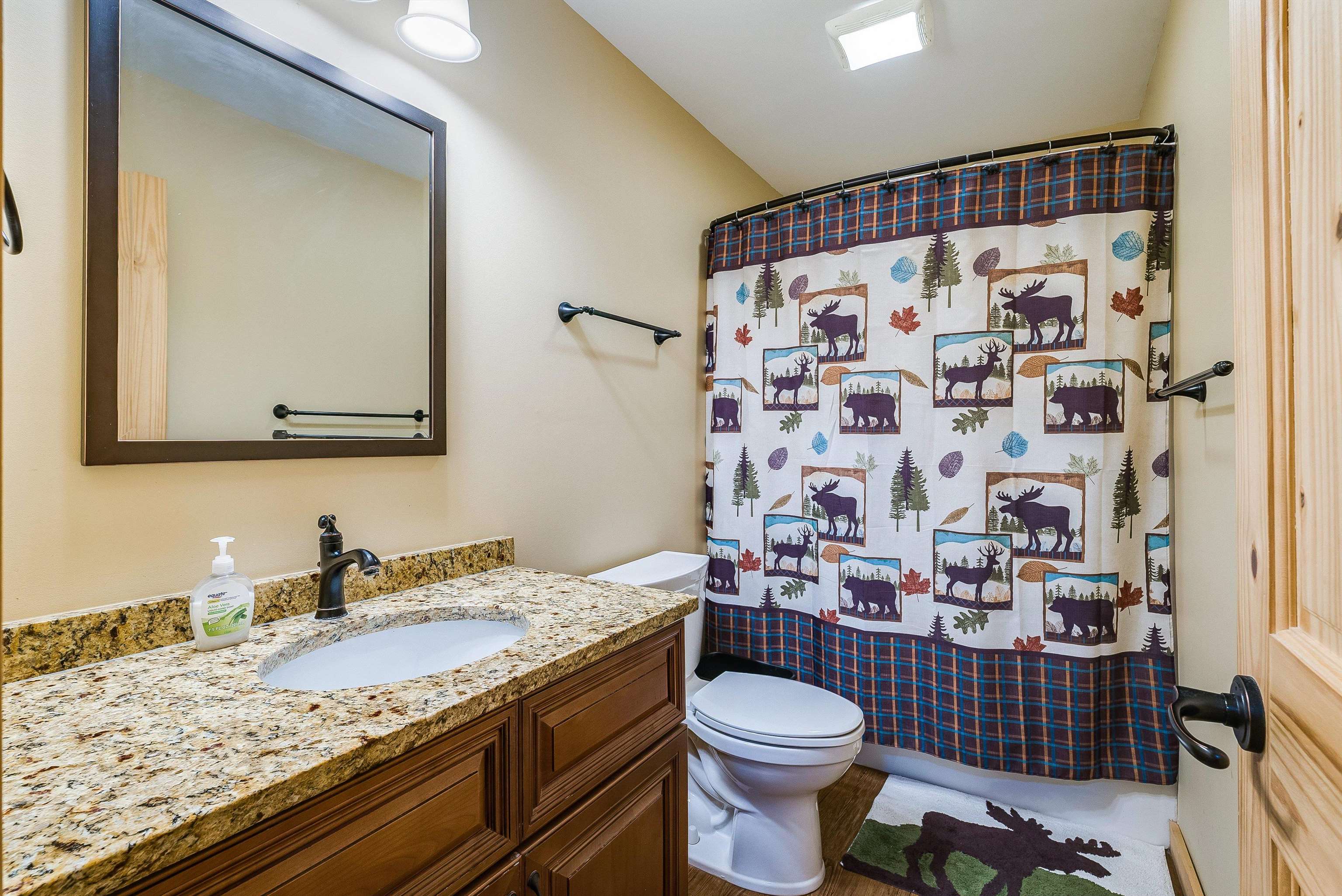 781 Rainier Road McGaheysville, VA 22840 - Photo 38 of 51 a bathroom with a granite countertop sink and a mirror