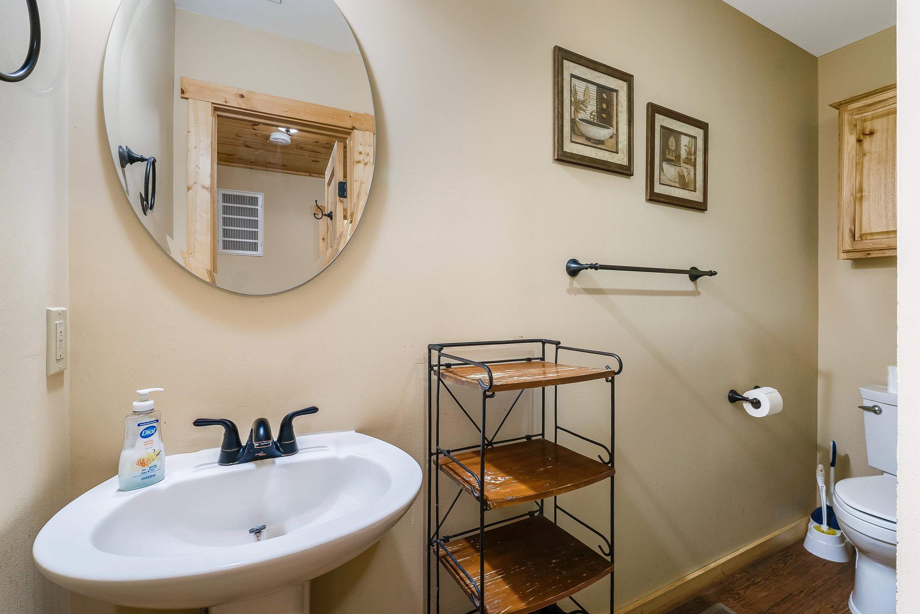 781 Rainier Road McGaheysville, VA 22840 - Photo 39 of 51 a bathroom with a sink and mirror with toilet