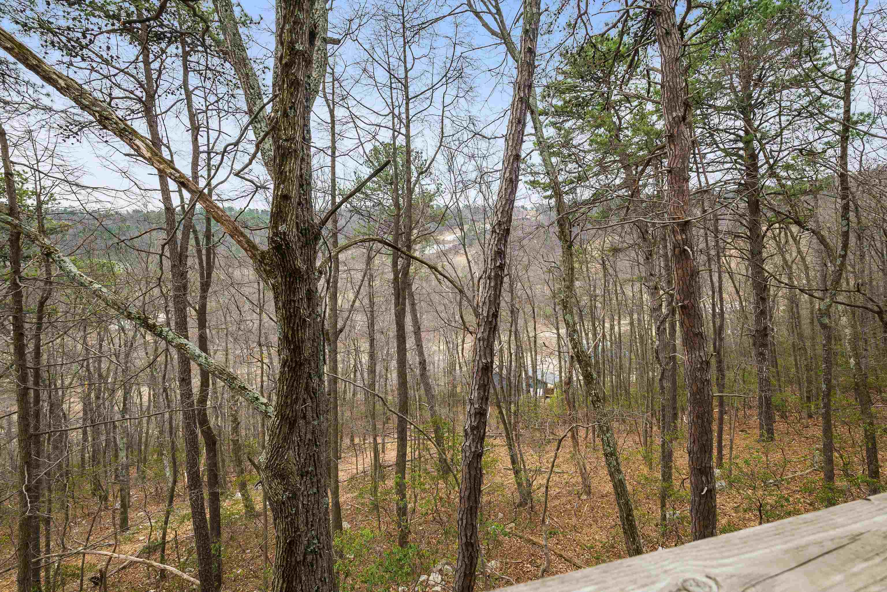 781 Rainier Road McGaheysville, VA 22840 - Photo 46 of 51 a view of a yard