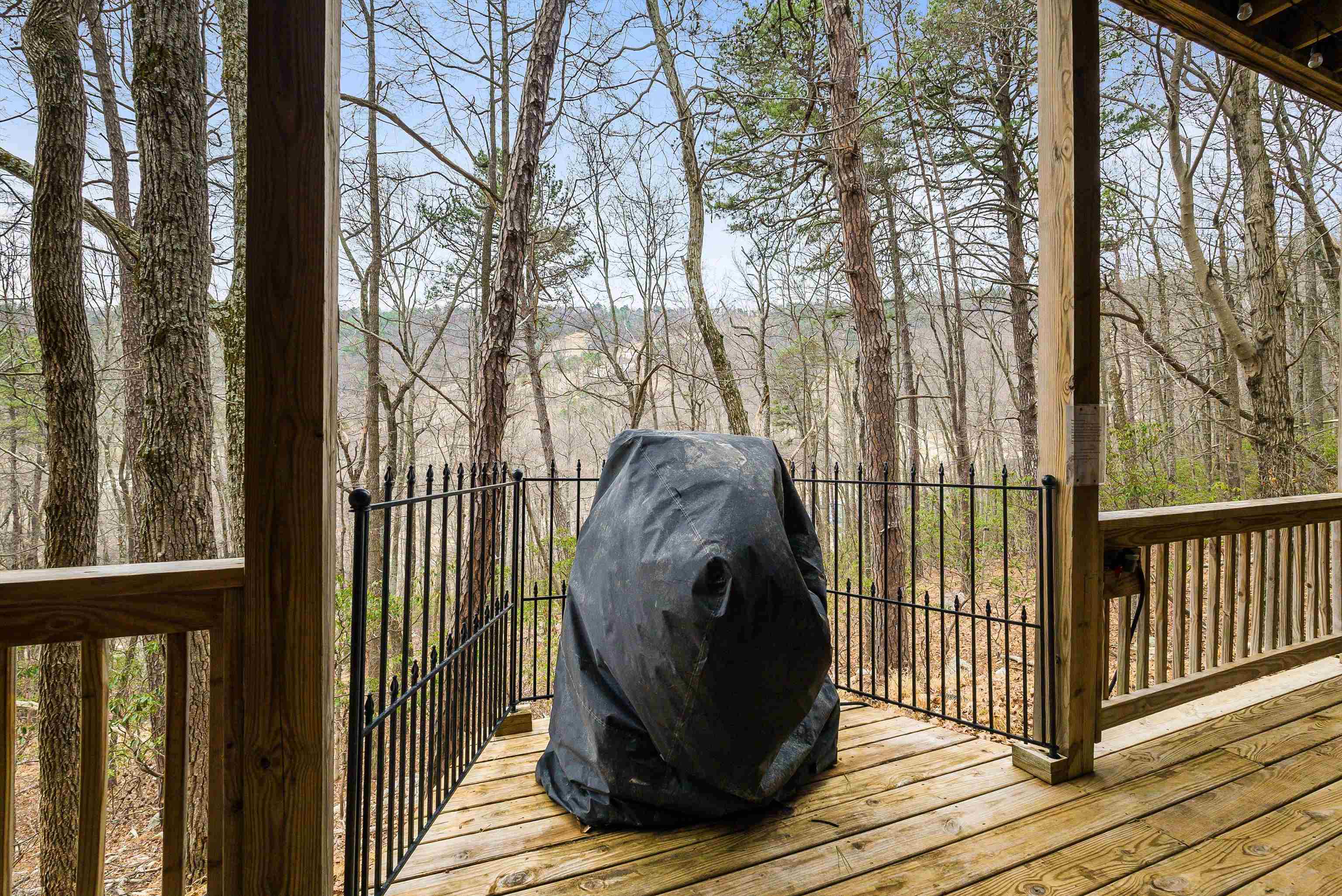 781 Rainier Road McGaheysville, VA 22840 - Photo 48 of 51 a view of a porch