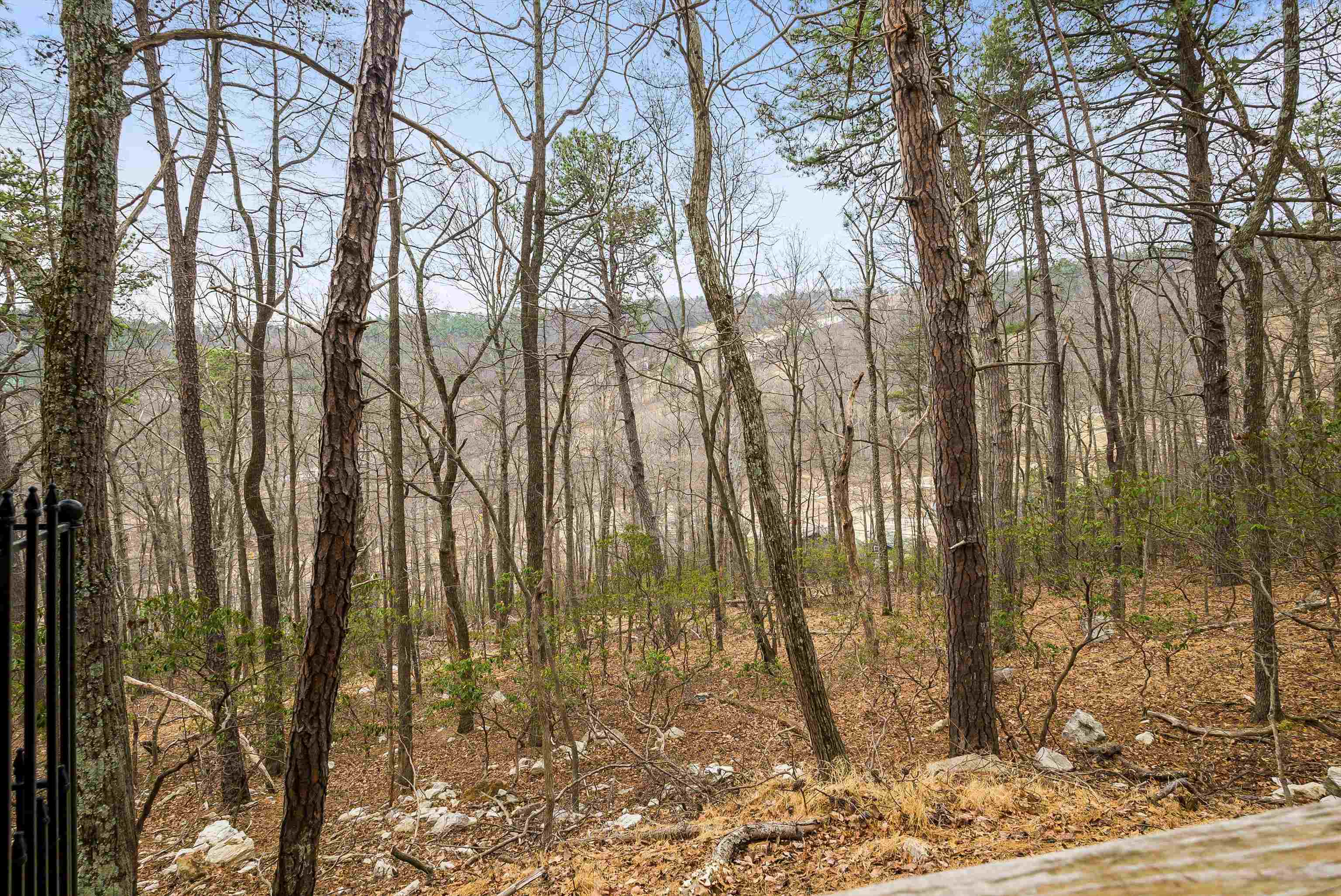 781 Rainier Road McGaheysville, VA 22840 - Photo 49 of 51