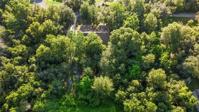 a view of a forest with a houses