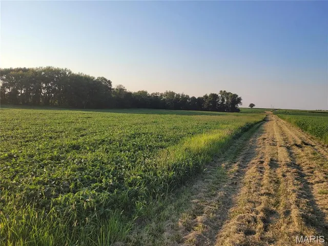 $942,590 | 0 Hwy Dd (85.69 /- Ac) Tract E Bellflower Mo 63333, Bellflower, MO 63333
