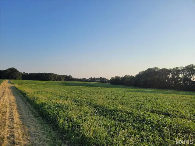 $942,590 | 0 Hwy Dd (85.69 /- Ac) Tract E Bellflower Mo 63333, Bellflower, MO 63333