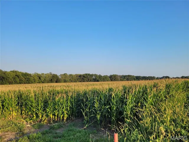 $942,590 | 0 Hwy Dd (85.69 /- Ac) Tract E Bellflower Mo 63333, Bellflower, MO 63333