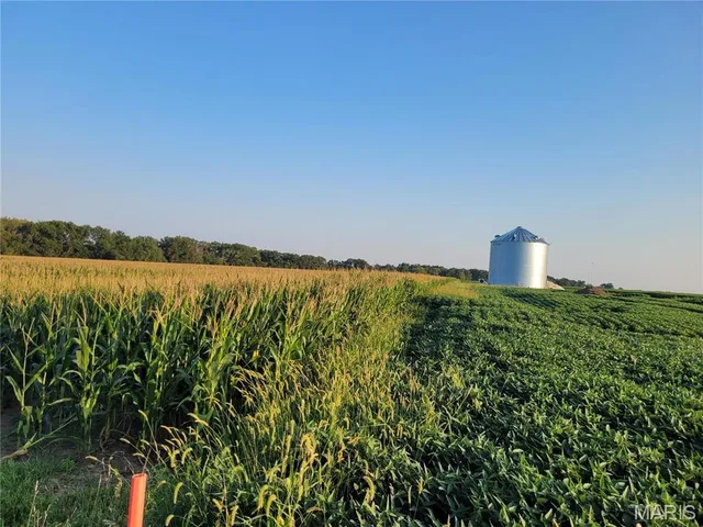 $942,590 | 0 Hwy Dd (85.69 /- Ac) Tract E Bellflower Mo 63333, Bellflower, MO 63333