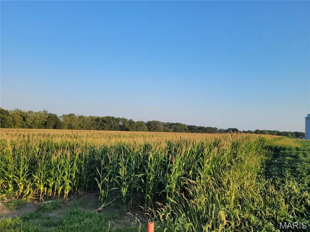 $942,590 | 0 Hwy Dd (85.69 /- Ac) Tract E Bellflower Mo 63333, Bellflower, MO 63333