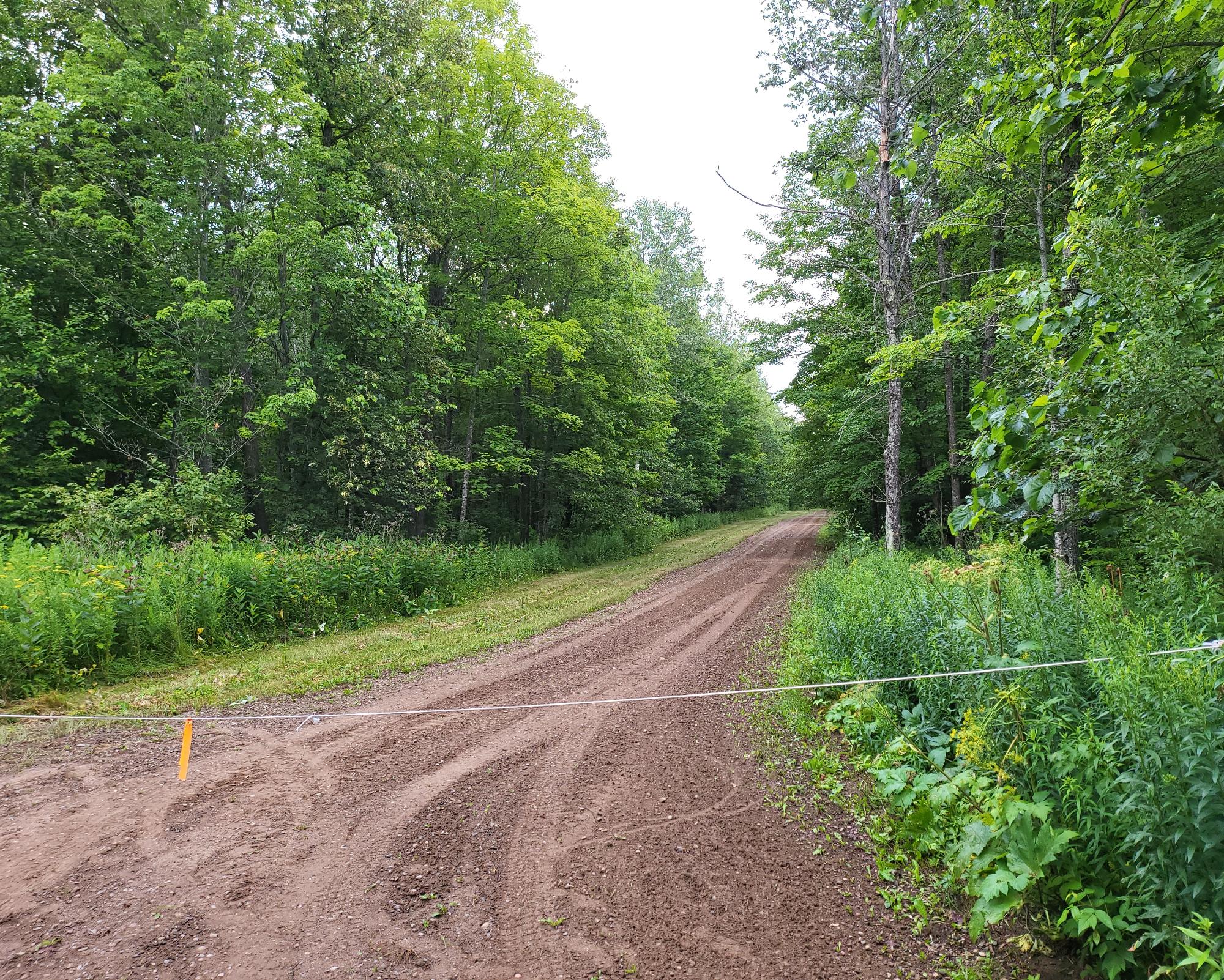 Lot 7 Dream Lake Road Long Lake, WI 54542 - Photo 2 of 8