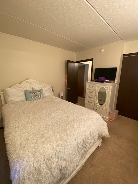 966 North Rohlwing Road, Unit GB Addison, IL 60101 - Photo 10 of 12 a bedroom with a bed and wall painting