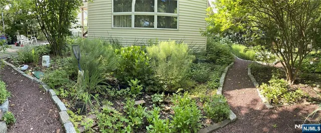 a view of a backyard with plants