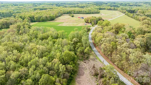 a view of a big yard with plants and large trees