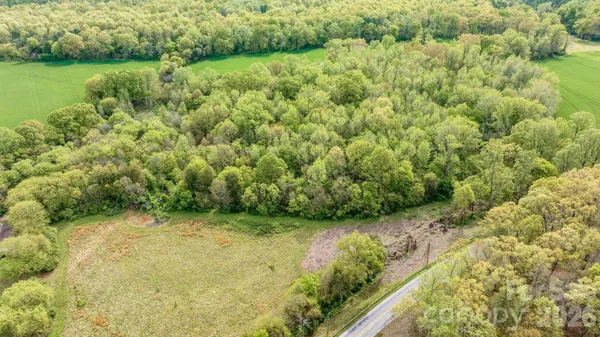 a view of a garden with a lake