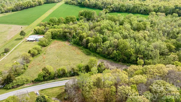a view of a garden with plants
