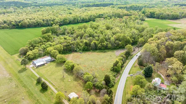 a view of a yard with plants
