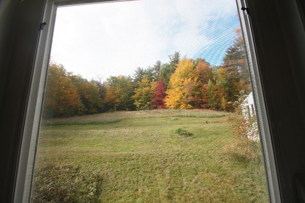 90 Bridgton Road Sebago, ME 04029 - Photo 20 of 22 View of rear yard taken from kitchen.