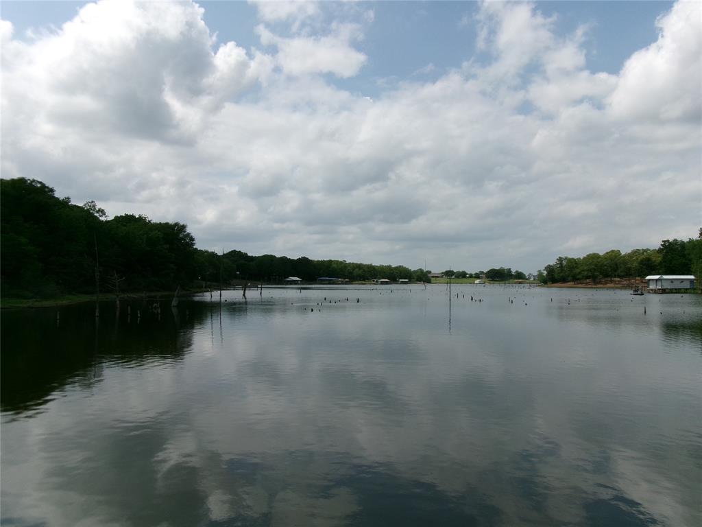 430 Waterfront Row Quitman, TX 75783 - Photo 16 of 16