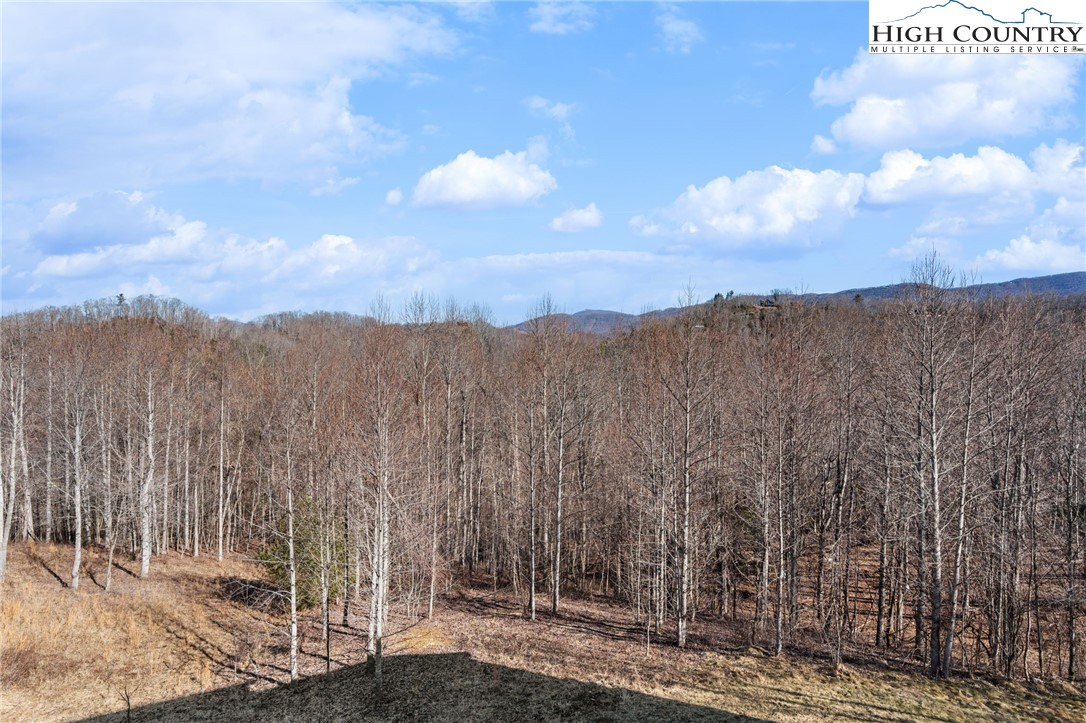 171 Pleasant View Vilas, NC 28692 - Photo 17 of 49