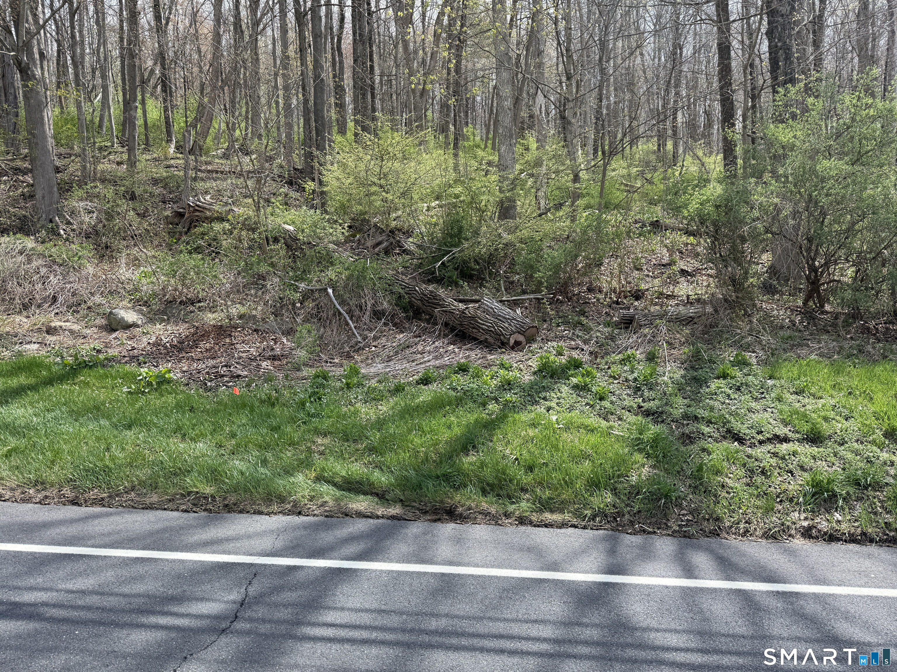 Torrington Road Litchfield, CT 06759 - Photo 3 of 6