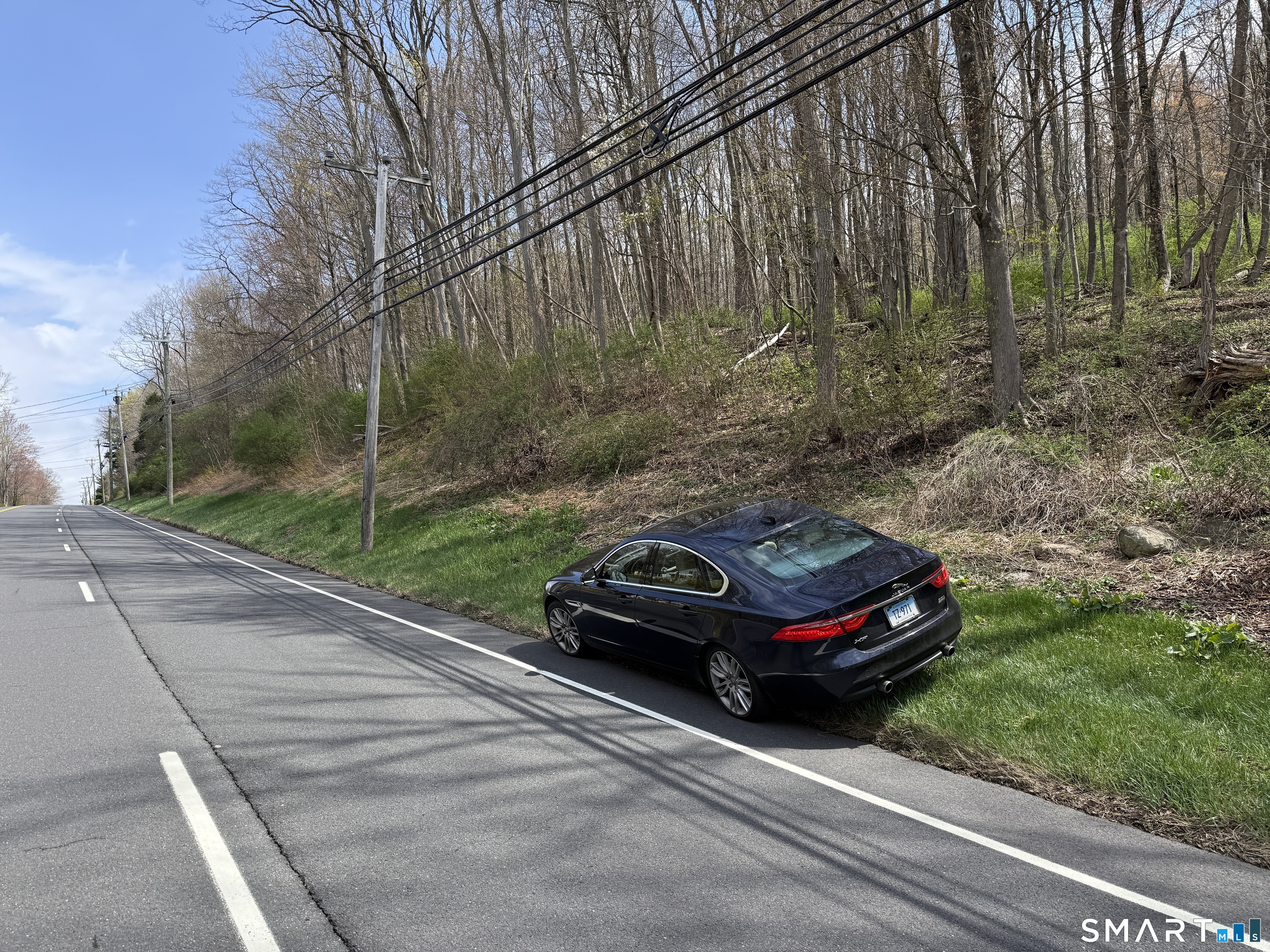 Torrington Road Litchfield, CT 06759 - Photo 4 of 6