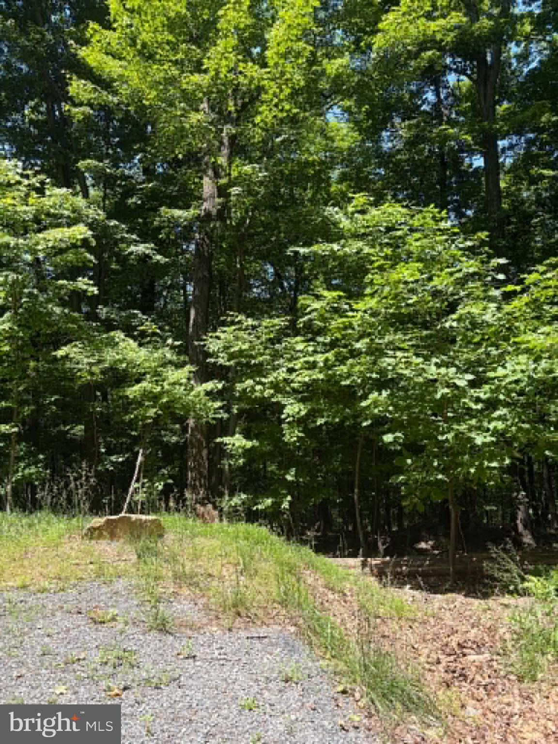 1515 Barnum Road Keyser, WV 26726 - Photo 28 of 64
