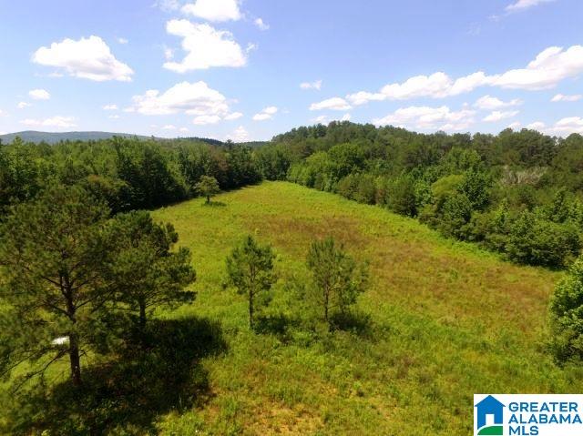 436 Newbury's Road, Unit 79 ACRES Ashland, AL 36251 - Photo 4 of 27