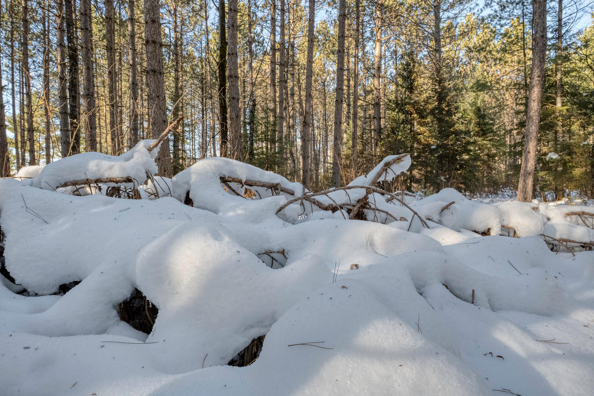 Off Deerskin Road, Unit LOT 3 Eagle River, WI 54521 - Photo 23 of 25 Gallery Image 23