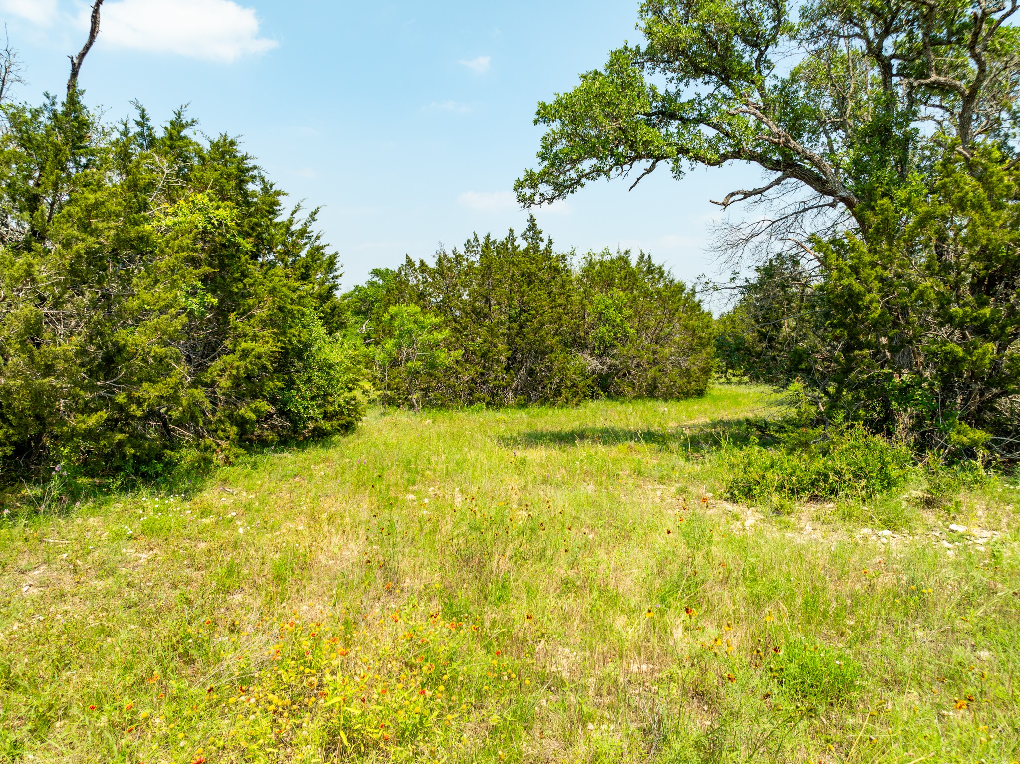 Tbd Tbd Pitchfork Ranch Road Copperas Cove, TX 76522 - Photo 2 of 35 a view of a yard