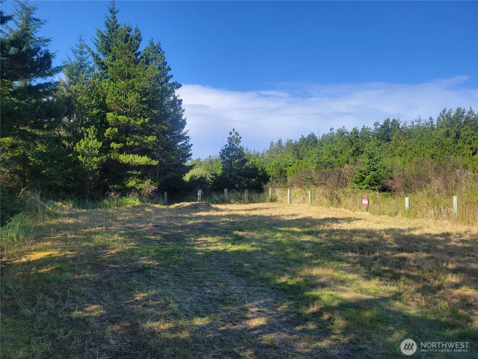0 35th & J Lane Seaview, WA 98644 - Photo 2 of 7 a view of a yard with a tree