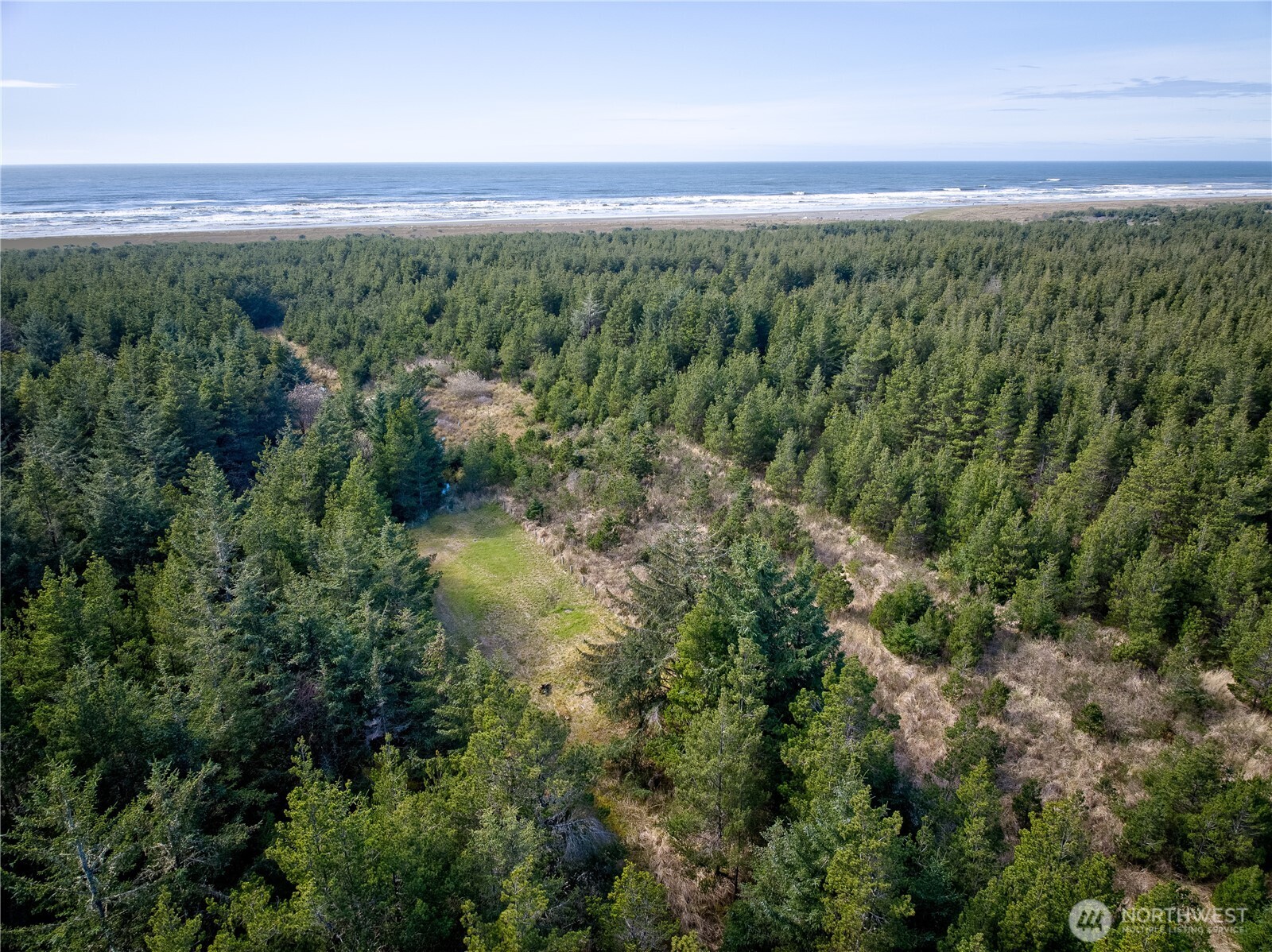 0 35th & J Lane Seaview, WA 98644 - Photo 22 of 26 a view of a forest with a street