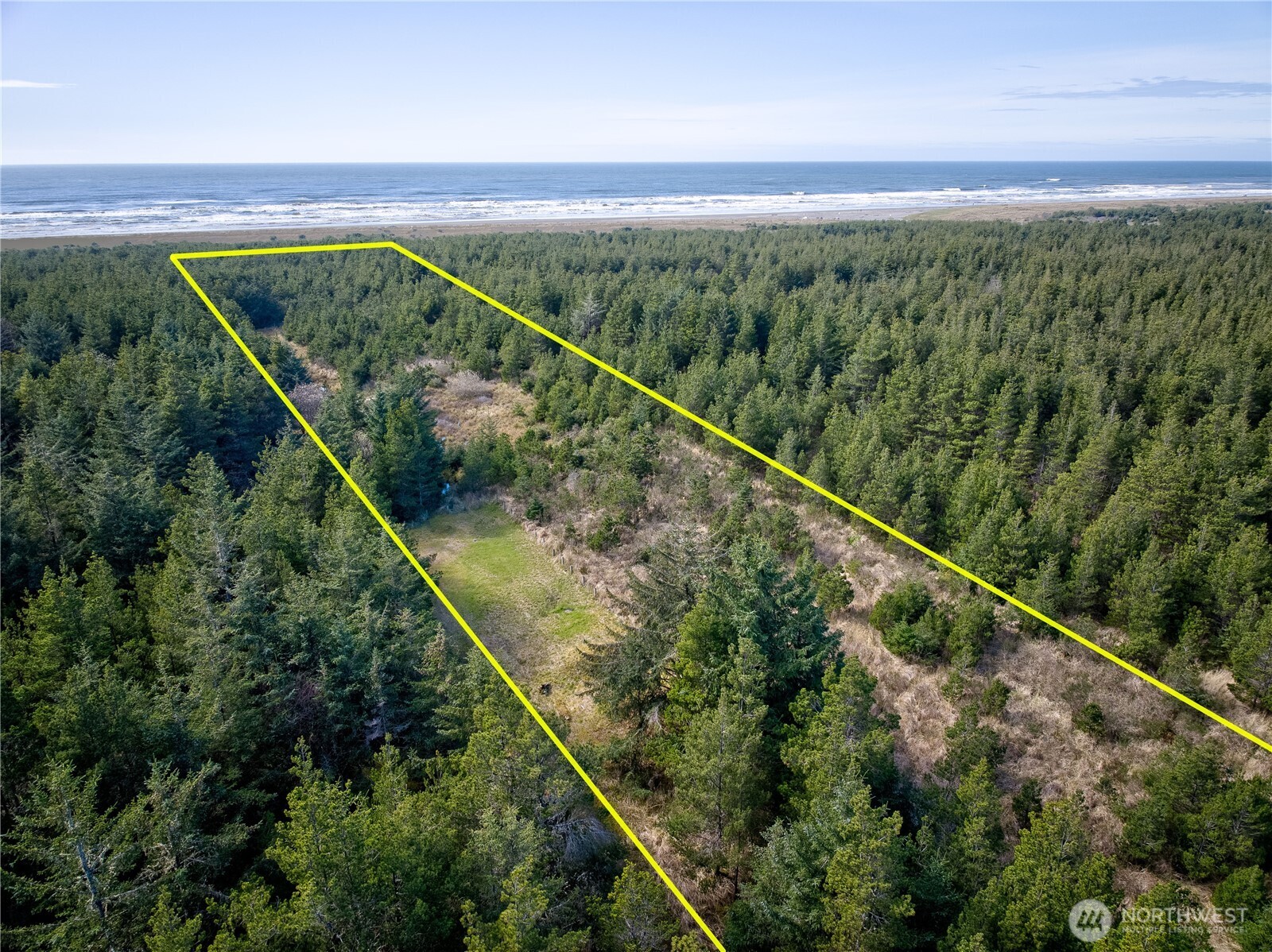 0 35th & J Lane Seaview, WA 98644 - Photo 24 of 26 a view of a forest from a balcony