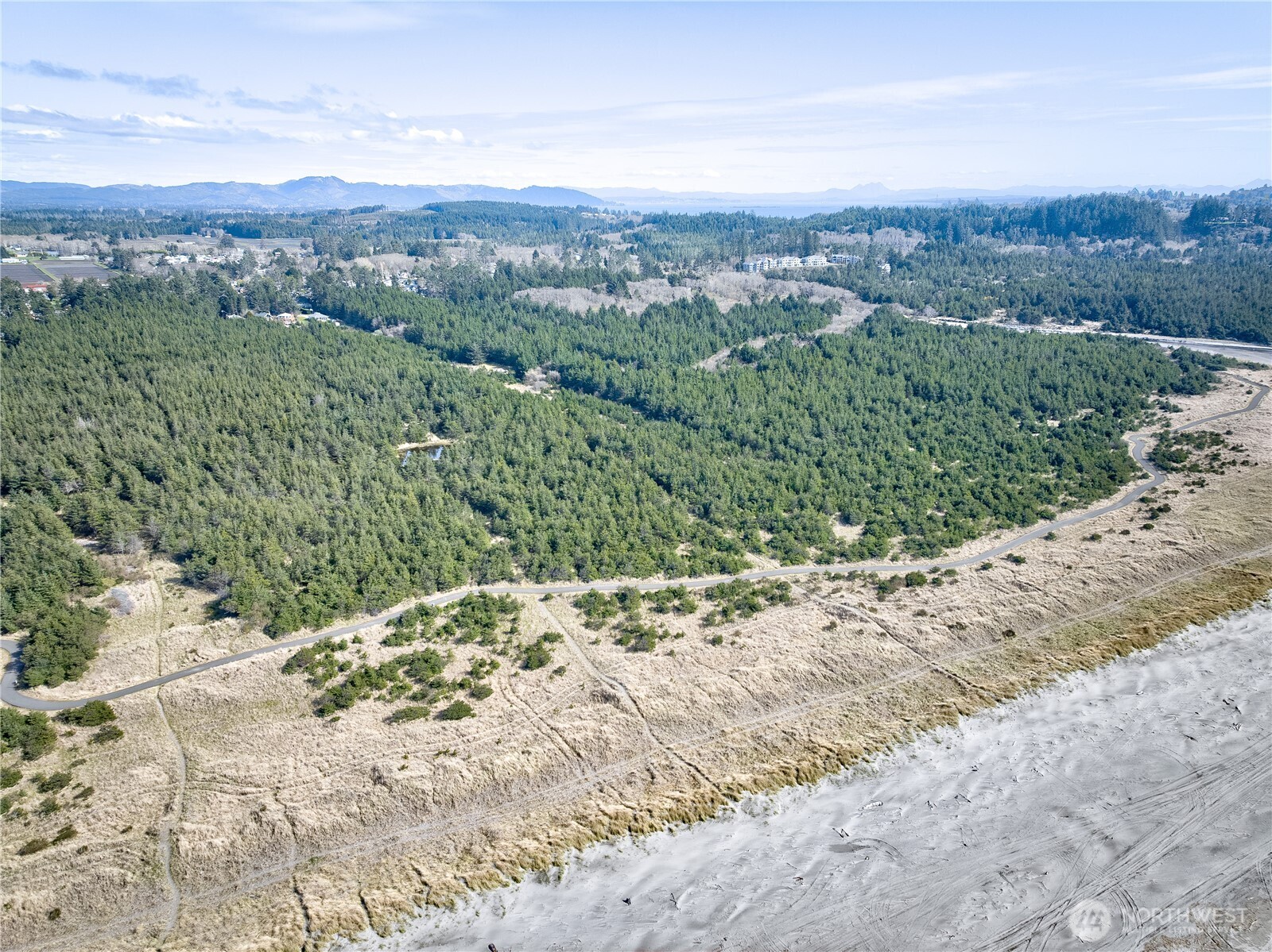 0 35th & J Lane Seaview, WA 98644 - Photo 7 of 26 a view of a mountain with a forest