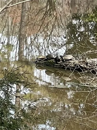 $305,000 | 4962 Cherrydale Drive, Douglasville, GA 30135