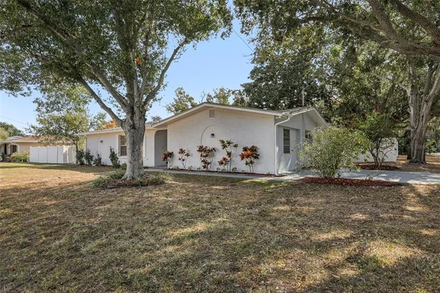 a view of a house with backyard and a tree