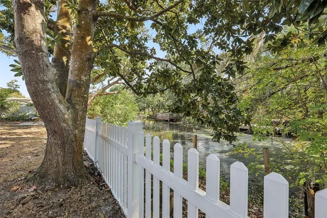 a view of a pathway of a trees