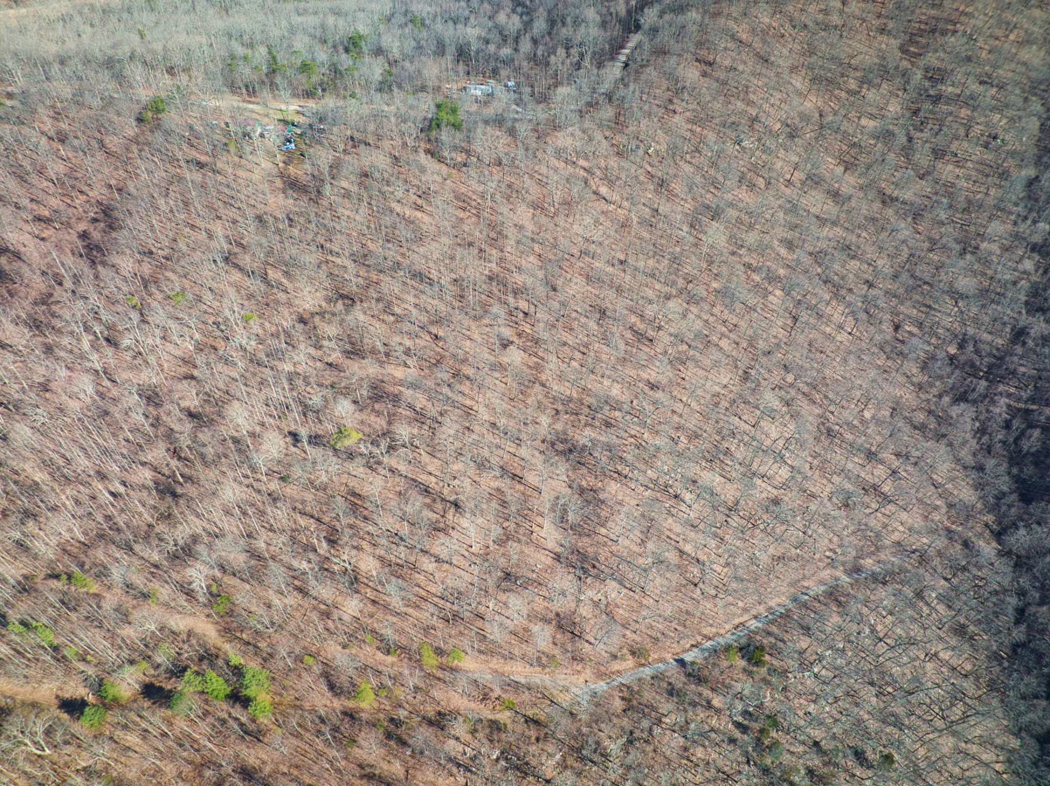 0 Overlook Trail Spring City, TN 37381 - Photo 13 of 14 Gallery Image 13