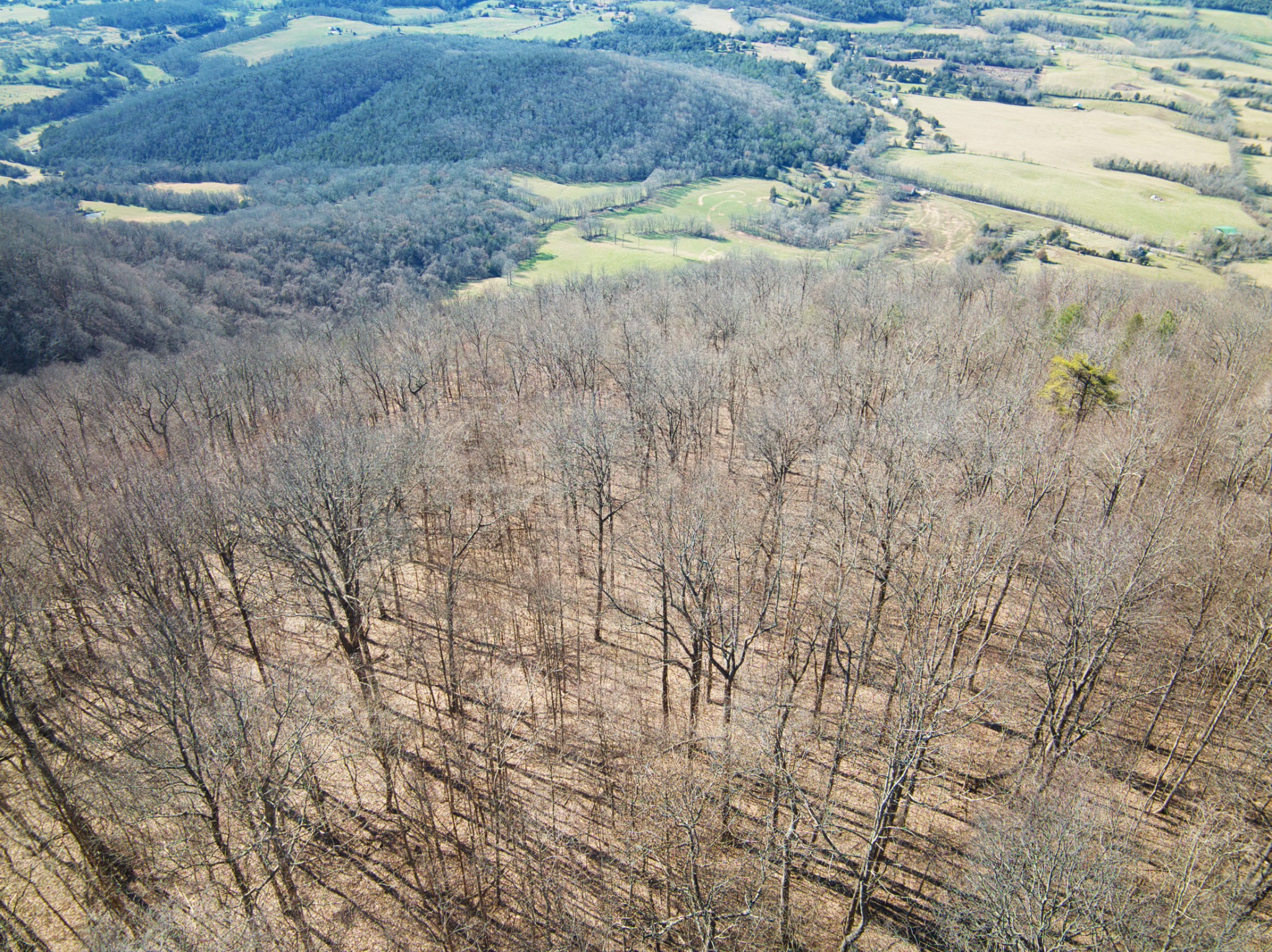 0 Overlook Trail Spring City, TN 37381 - Photo 5 of 14 Gallery Image 5