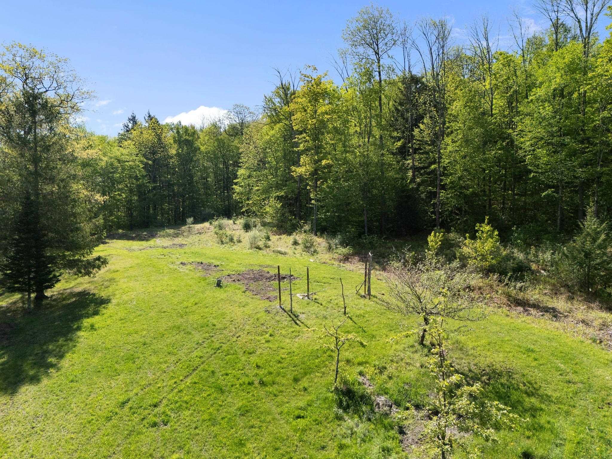 3524 Deer Park Road Halifax, VT 05301 - Photo 3 of 42