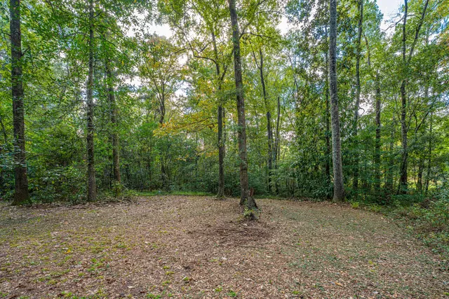 $199,999 | 1414 Green Pond Highway, Walterboro, SC 29488