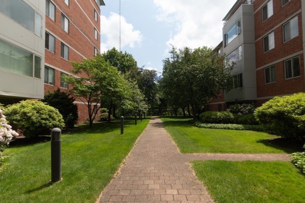 193 Oak Street, Unit 403 Newton, MA 02464 - Photo 16 of 21 a view of a garden with a pathway