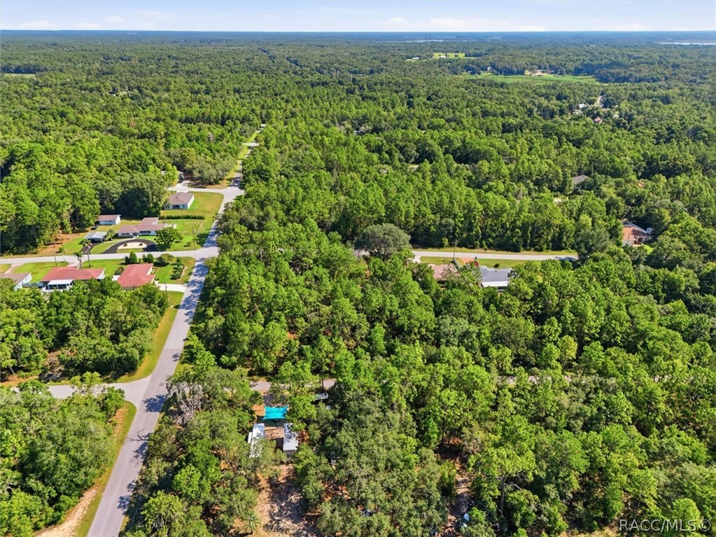 3220 East Rogers Inverness, FL 34453 - Photo 23 of 23